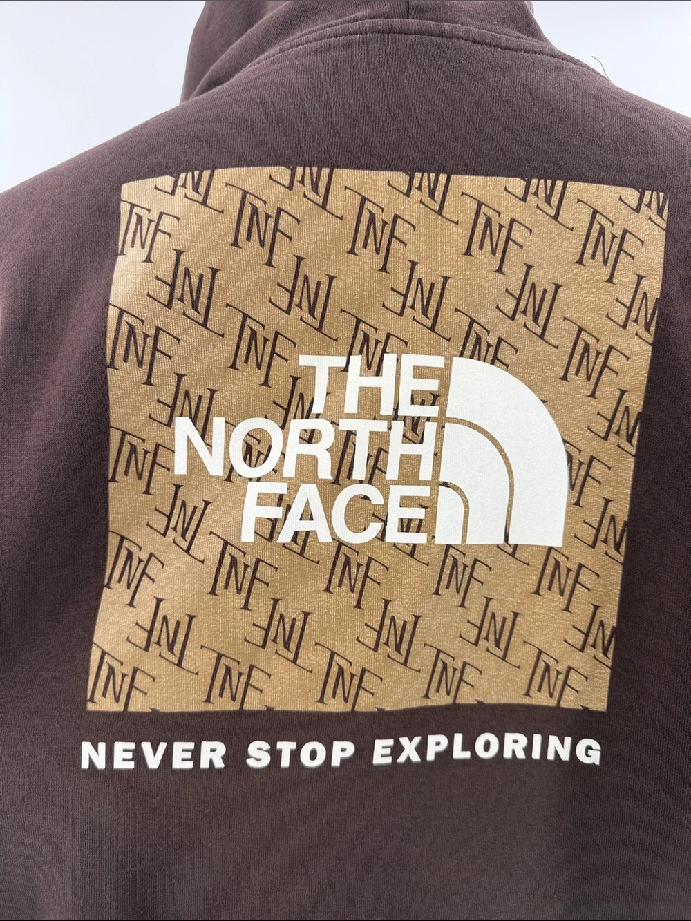 The North Face Chocolate Brown Pullover Hoodie